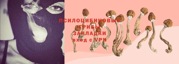 дмт Армянск